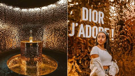 dior beaux arts paris|Dior j'adore exhibition.